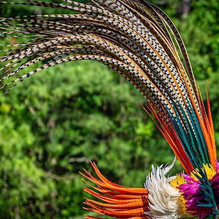 Caiman Lodge - Cuyabeno Nature Amazon Tour Exterior foto