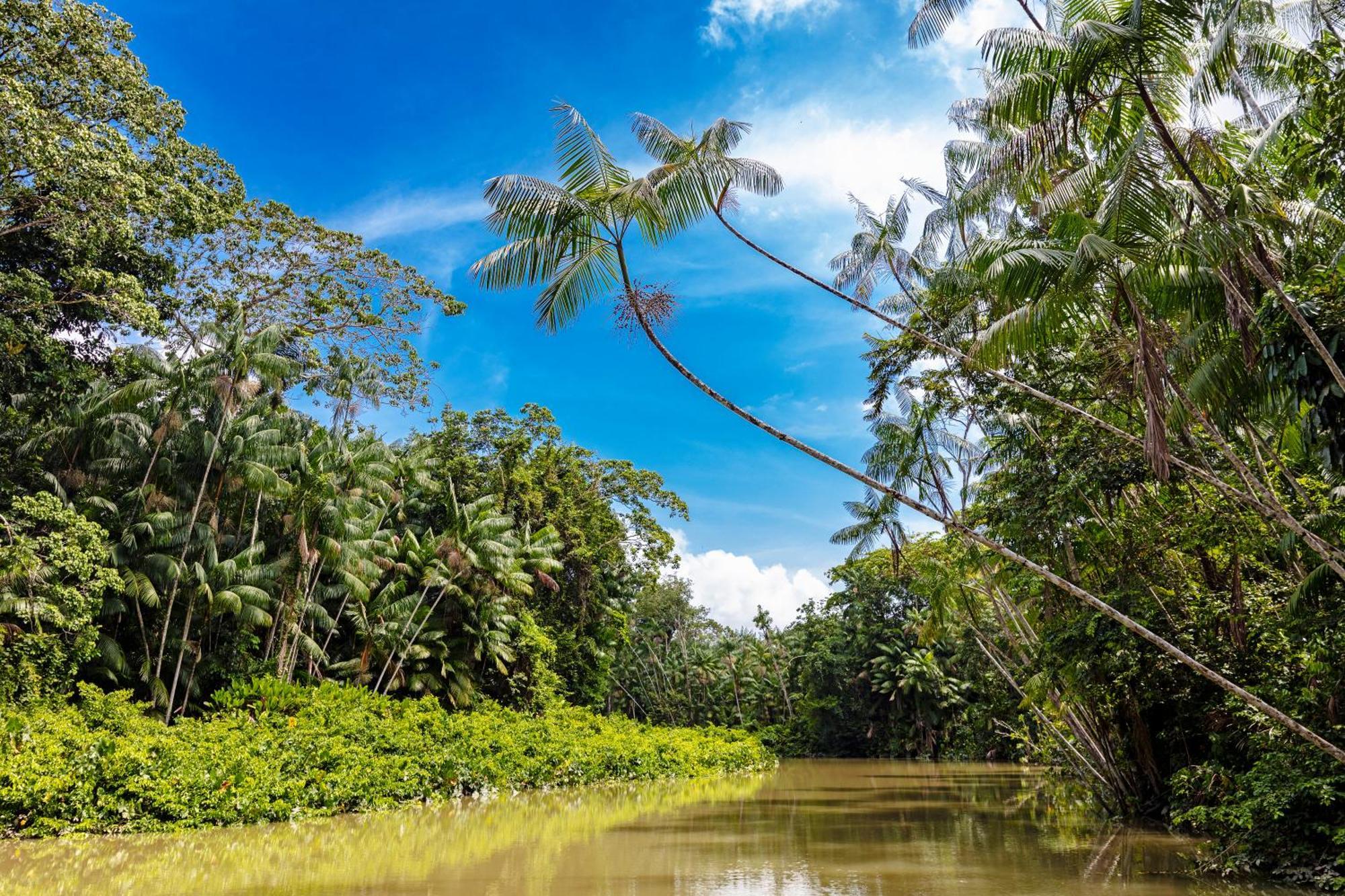 Caiman Lodge - Cuyabeno Nature Amazon Tour Exterior foto
