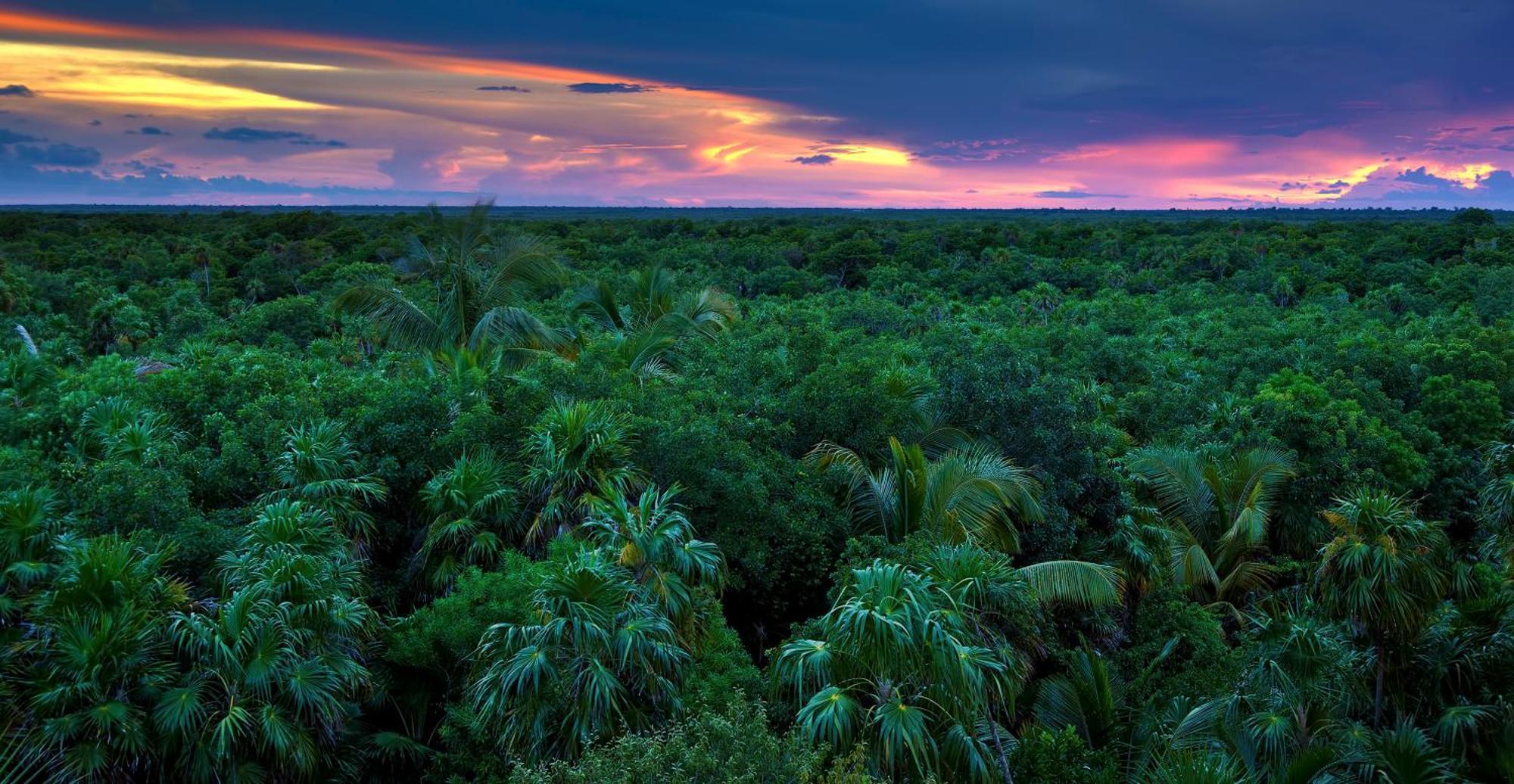 Caiman Lodge - Cuyabeno Nature Amazon Tour Exterior foto